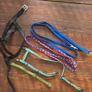 Black and Blue Cat Collars and Leashes Set